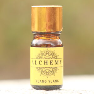 Ylang Ylang essential oil