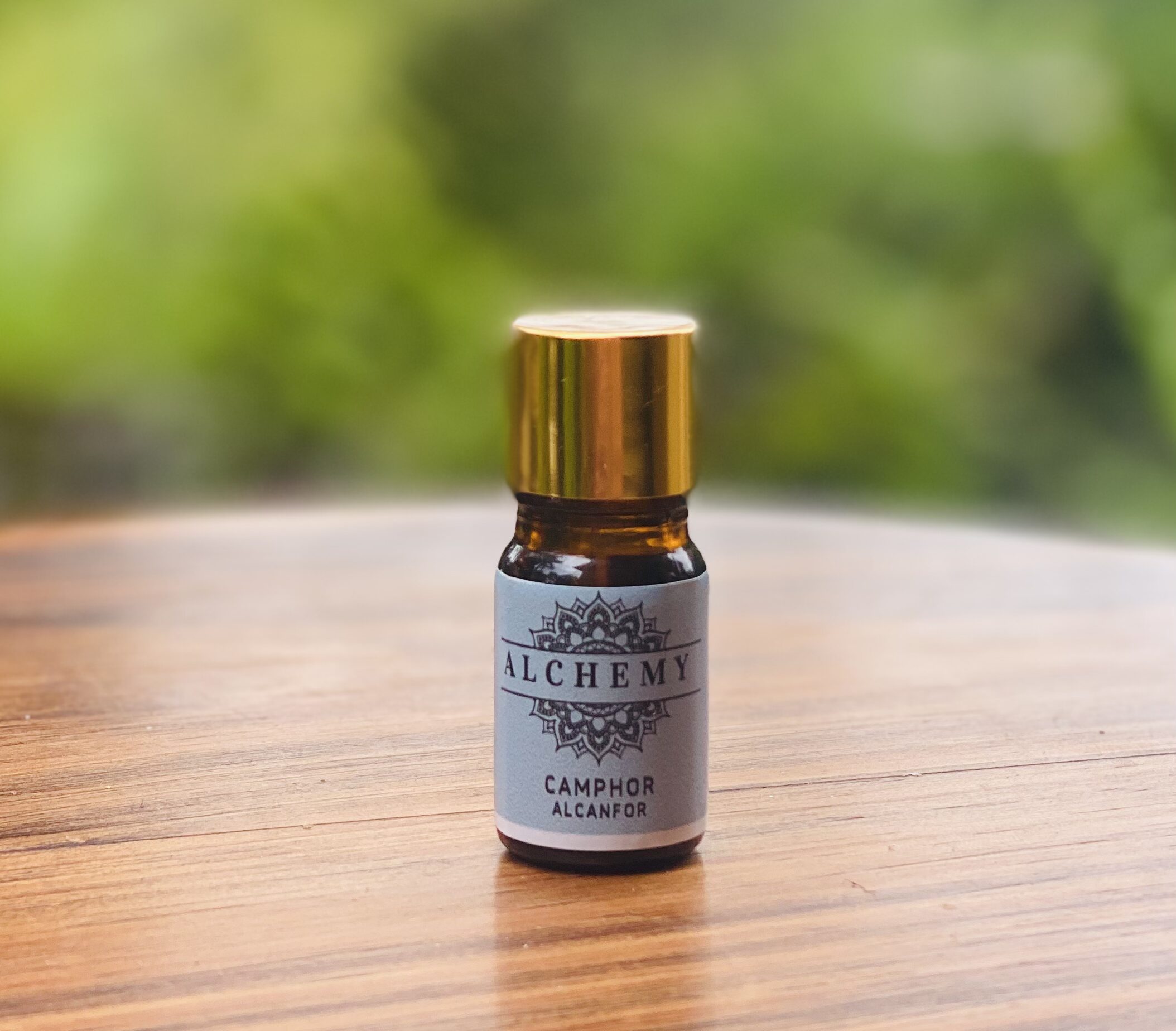 CAMPHOR | 5ml Essential Oil