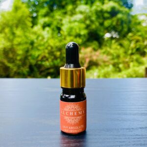 Lily Absolute | 5ml Essential Oil